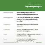 Хризантема корейская Бленда Уайт (0,1л) — параметры сорта