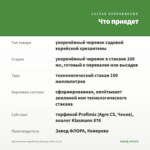 Хризантема корейская Бленда Уайт (0,1л) — что приедет
