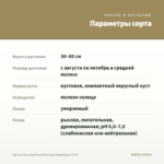 Хризантема корейская Большая Медведица (0,1л) — параметры сорта
