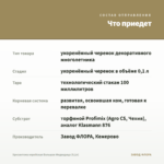 Хризантема корейская Большая Медведица (0,1л) — что приедет