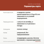 Хризантема корейская Деко (0,1л) — параметры сорта