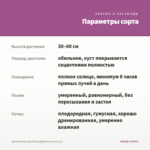 Хризантема корейская Дюймовочка (0,1л) — параметры сорта