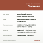 Хризантема корейская Funtime (0,1л) — что приедет