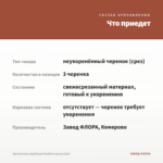 Хризантема корейская Funtime (срезы/3шт) — что приедет