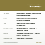 Хризантема корейская Гомпи Вайт (0,1л) — что приедет