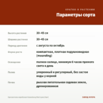 Хризантема корейская Hanenburg Red (срез/3шт) — параметры сорта