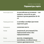 Хризантема корейская Камелия (0,1л) — параметры сорта