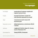 Хризантема корейская Лимонка (0,1л) — что приедет