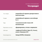Хризантема корейская Mariella Pink (0,1л) — что приедет