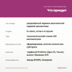 Хризантема корейская Маркиза (0,1л) — что приедет