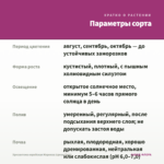 Хризантема корейская Маркиза (срезы/3шт) — параметры сорта