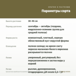 Хризантема корейская Незнакомка (0,1л) — параметры сорта