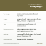 Хризантема корейская Незнакомка (0,1л) — что приедет