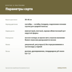 Хризантема корейская Незнакомка (0,1л) — параметры сорта