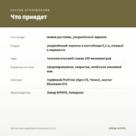 Хризантема корейская Незнакомка (0,1л) — что приедет