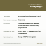 Хризантема корейская Незнакомка (срез/3шт) — что приедет