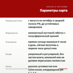 Хризантема Корейская ОГНИ МОСКВЫ (0,1л) — параметры сорта