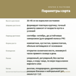 Хризантема Корейская Осенний Вальс (0,1л) — параметры сорта