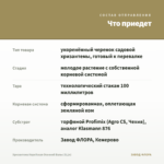 Хризантема Корейская Осенний Вальс (0,1л) — что приедет