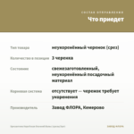 Хризантема Корейская Осенний Вальс (срезы/3шт) — что приедет