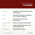 Хризантема корейская Папороти (0,1л) — что приедет