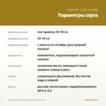 Хризантема корейская Pompon Yellow (0,1л) — параметры сорта