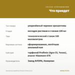 Хризантема корейская Pompon Yellow (0,1л) — что приедет