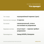 Хризантема корейская Pompon Yellow (срезы/3шт) — что приедет