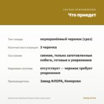 Хризантема корейская Pompon Yellow (срезы/3шт) — что приедет