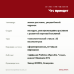 Хризантема корейская Ра-ра (0,1л) — что приедет