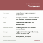 Хризантема корейская Рассвет (0,1л) — что приедет