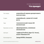 Хризантема корейская Розовый Сон (0,1л) — что приедет