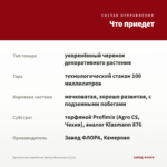 Хризантема корейская Шапка Мономаха (0,1л) — что приедет