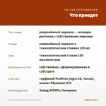 Хризантема корейская Стожары (0,1л) — что приедет