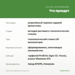 Хризантема корейская Светозар (0,1л) — что приедет