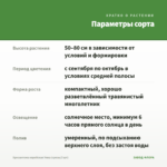 Хризантема корейская Умка (срезы/3 шт) — параметры сорта