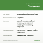 Хризантема корейская Умка (срезы/3 шт) — что приедет