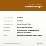 Хризантема корейская Виктория Оранж (0,1л) — параметры сорта