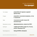 Хризантема корейская Виктория Оранж (0,1л) — что приедет
