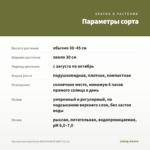Хризантема Корейская ЯБЛОНЕВЫЙ ЦВЕТ (0,1л) — параметры сорта