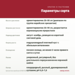 Хризантема корейская ЮРИЙ ГАГАРИН (0,1л) — параметры сорта
