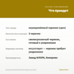 Хризантема Корейская Желтая Ромашка (срез/3шт) — что приедет
