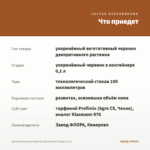 Хризантема мультифлора Branbeach Orange (0,1л) — что приедет