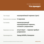 Хризантема мультифлора Branbeach Orange (срез/5шт) — что приедет