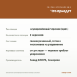 Хризантема мультифлора Branbeach Orange (срез/5шт) — что приедет