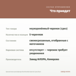 Хризантема мультифлора Branfountain Apricot (срез/5шт) — что приедет