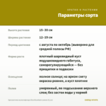 Хризантема мультифлора Branfountain Lemon (0,1л) — параметры сорта