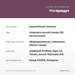 Хризантема мультифлора Branfountain Pink (0,1л) — что приедет