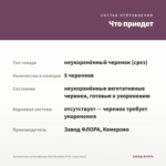 Хризантема мультифлора Branfountain Pink (срез/5шт) — что приедет