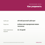 Хризантема мультифлора Branfountain Purple (срез/5шт) — как укоренить черенок